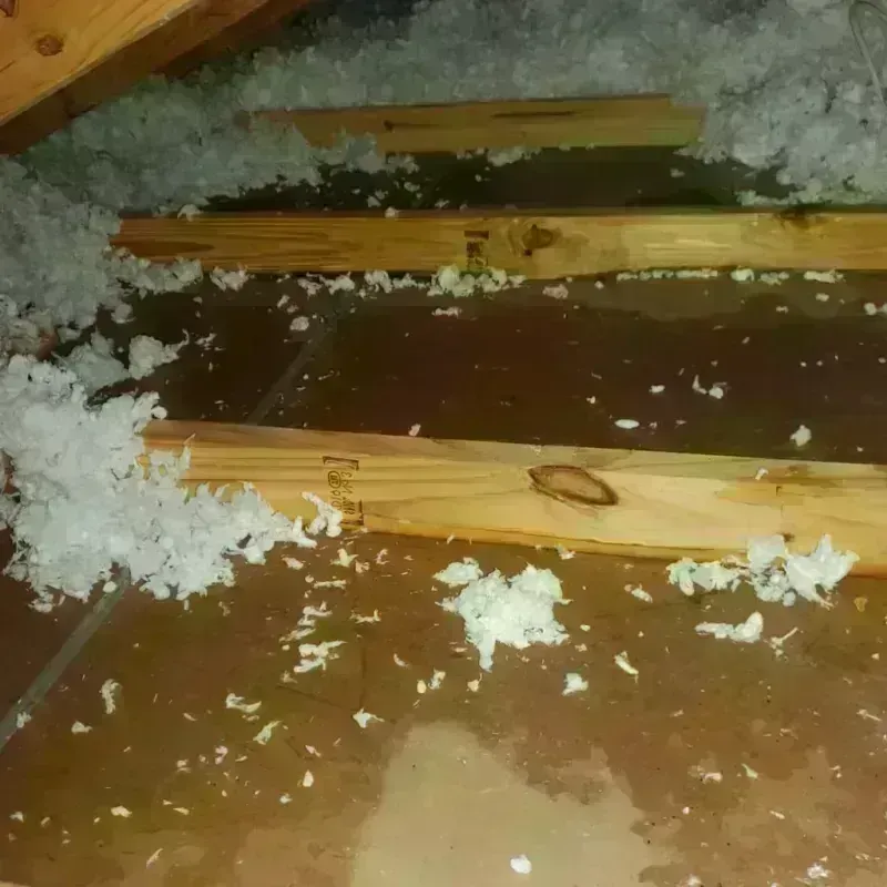 Attic Water Damage in Montevallo, AL